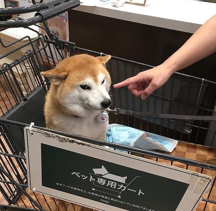 PONSAN