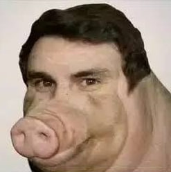 BOAR