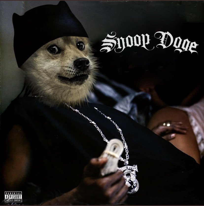SDOGE